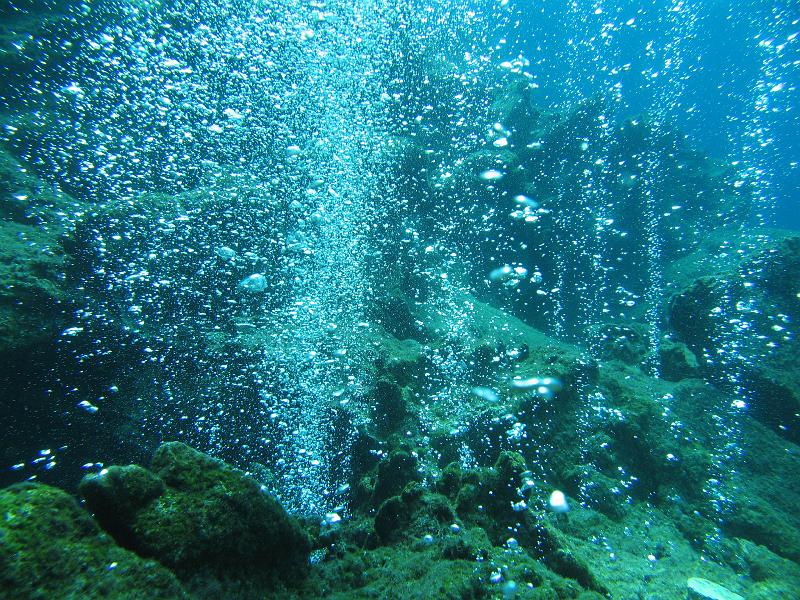 Coll TU 057.JPG